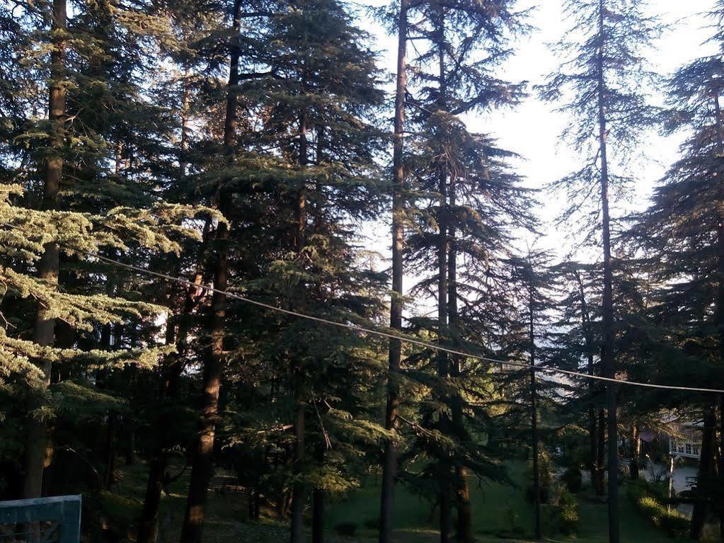Torrentium Lodge Shimla Exterior photo